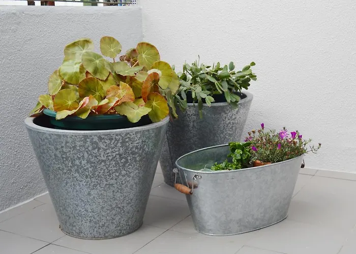 Lägenhet T2p Pilar House