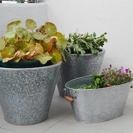 Appartamento T2p Pilar House